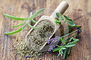 Herbs de Provence photo