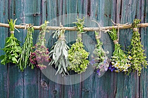 Herbs drying on barn wood