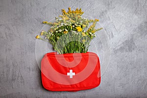 Herbs in first aid kit. First aid kit with herbs natural remedies