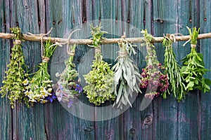 Herbs and flowers drying