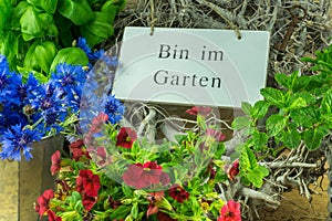 Herbs, flowers and green leaves with a sign in the garden