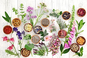 Herbs and Flowers for Herbal Medicine