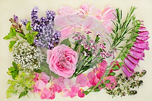 Herbs and Flowers for Herbal Medicine