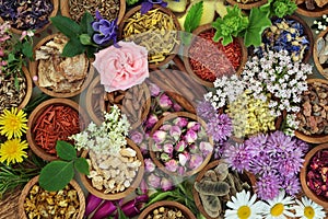 Herbal Medicine Background