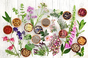 Herbs and Flowers for Herbal Medicine photo