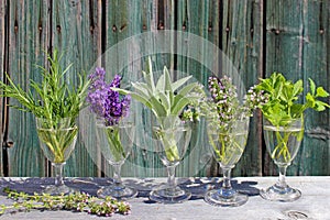 Herbs in glasses