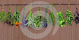 Herbs hanging