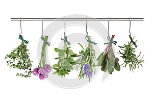 Herbs Hanging and Drying