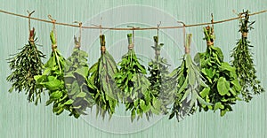 Herbs hanging from rope