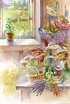 Herbs at home