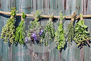 Herbs hung to dry in sun