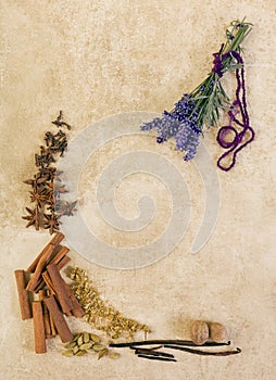 Herbs and lavender on grunge backdrop