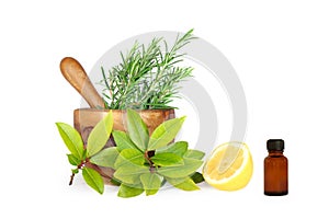 Herbs and Lemon Ingredients