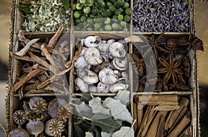 Herbs and medicinal plants