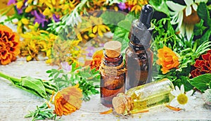 Herbs. Medicinal plants.