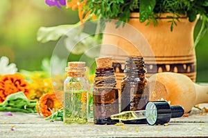 Herbs in a mortar. Medicinal plants. Selective focus. photo