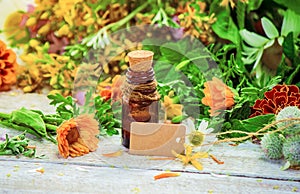 Herbs in a mortar. Medicinal plants. Selective focus. photo