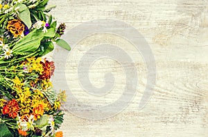 Herbs in a mortar. Medicinal plants. Selective focus. photo