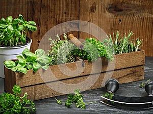 Herbs in old wood box