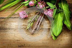 Herbs over Wood