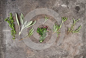 Herbs rosemary, sage, thyme, savory