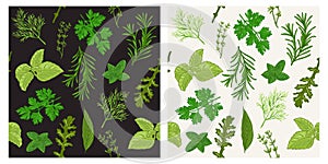 Herbs seamless pattern modern green