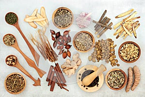 Herbs and Spice to Relieve Asthma