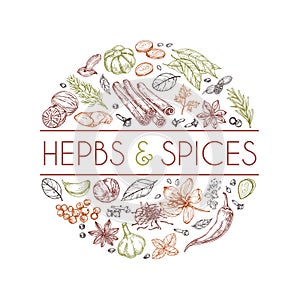 Herbs and spices background. Hand drawn asian food. Indian cooking herbs vector engraved style