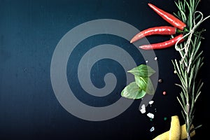 Herbs and spices. basil, red pepper, salt and rosemary on a black background. With space for text