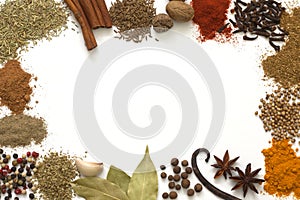 Herbs and spices border photo