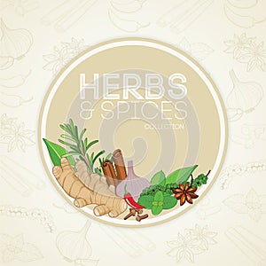 Herbs and spices in border frame