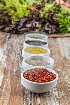 Herbs and spices in ceramic bowls. Aromatic ingredients and natural food additives