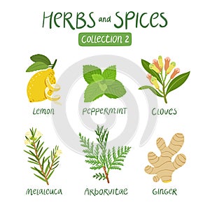 Herbs and spices collection 2