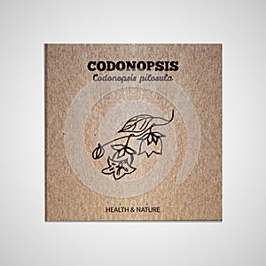 Herbs and Spices Collection - Codonopsis photo