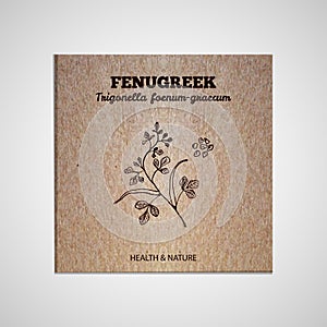 Herbs and Spices Collection - Fenugreek photo