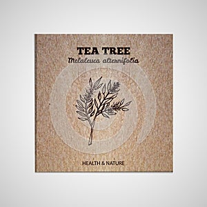 Herbs and Spices Collection - Tea tree