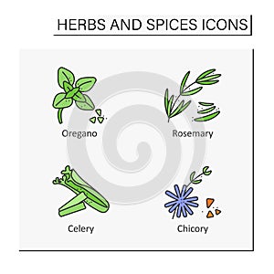 Herbs and spices color icons set