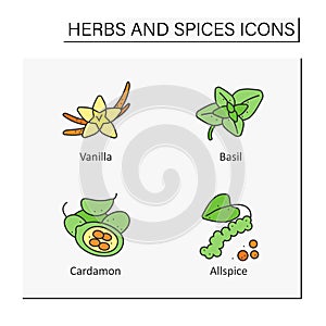 Herbs and spices color icons set