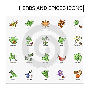 Herbs and spices color icons set