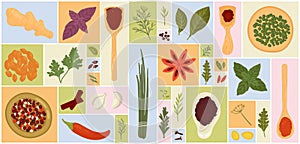 Herbs, spices, condiments and food ingredients collage set
