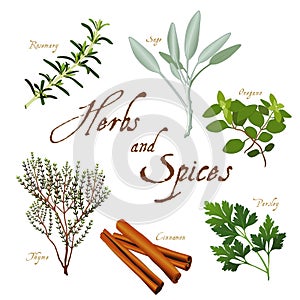 Herbs and Spices for Cooking and Baking