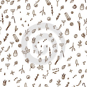 Herbs and spices doodle hand drawn pattern