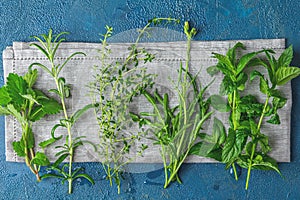 Herbs and spices.Fresh herbs selection included rosemary, thyme, mint, lemon balm and arugula. Overhead view, copy space