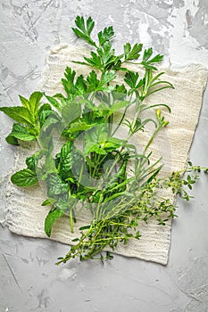 Herbs and spices. Fresh herbs selection included rosemary, thyme, mint, lemon balm, parsley and arugula. Overhead view, copy space