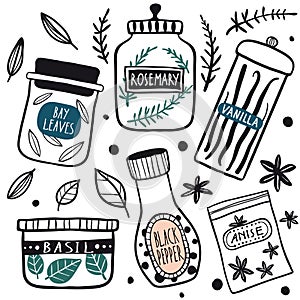 Herbs and spices jars icon set