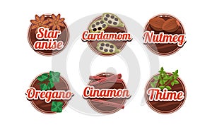 Herbs and spices kitchen badges set, star anice, cardamom, nutmeg, oregano, cinamon, thime labels vector Illustration on