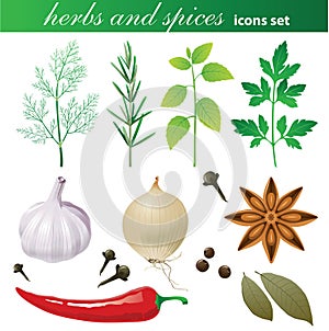 Herbs and spices set