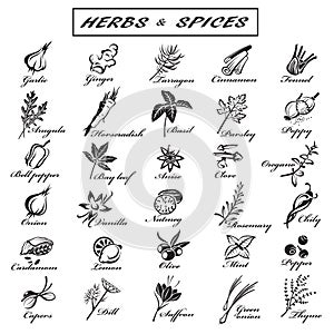 Herbs and spices