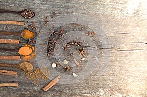 Herbs and spices on a wooden board. Spice spoon.