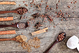 Herbs and spices on a wooden board. Spice spoon.